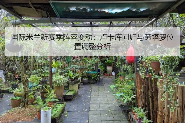 guo-ji-mi-lan-xin-sai-ji-zhen-rong-bian-dong-lu-ka-ku-hui-gui-yu-lao-ta-luo-wei-zhi-tiao-zheng-fen-xi-2-861.jpg